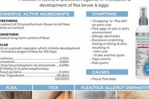 Complete Flea Care Guide for Dogs My Caring Dog – Tips, Stories, and Care Guides for Loving Pet Owners Complete Flea Care Guide for Dogs | My Caring Dog – Tips, Stories, and Care Guides for Loving Pet Owners