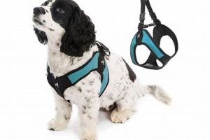 Best Car Harnesses for Small Dogs: Safe Travel | My Caring Dog – Tips, Stories, and Care Guides for Loving Pet Owners