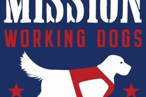 Elite Mission Working Dogs: Car Companions | My Caring Dog – Tips, Stories, and Care Guides for Loving Pet Owners