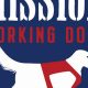 Elite Mission Working Dogs: Car Companions | My Caring Dog – Tips, Stories, and Care Guides for Loving Pet Owners