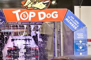 Top Dog Express Car Wash Near Me | My Caring Dog – Tips, Stories, and Care Guides for Loving Pet Owners