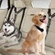 Best Car Harnesses for Small Dogs: Safe Travels | My Caring Dog – Tips, Stories, and Care Guides for Loving Pet Owners