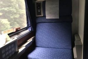 Amtrak Sleeper Cars: Dog-Friendly Travel Guide My Caring Dog – Tips, Stories, and Care Guides for Loving Pet Owners Amtrak Sleeper Cars: Dog-Friendly Travel Guide | My Caring Dog – Tips, Stories, and Care Guides for Loving Pet Owners