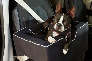 Top 5 Best Dog Seats for Cars in 2024 | My Caring Dog – Tips, Stories, and Care Guides for Loving Pet Owners