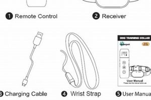 Ultimate Dog Training Collar Manual Guide My Caring Dog – Tips, Stories, and Care Guides for Loving Pet Owners Ultimate Dog Training Collar Manual Guide | My Caring Dog – Tips, Stories, and Care Guides for Loving Pet Owners