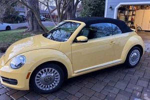 Top Yellow Dog Cars Near Me: Find Yours My Caring Dog – Tips, Stories, and Care Guides for Loving Pet Owners Top Yellow Dog Cars Near Me: Find Yours | My Caring Dog – Tips, Stories, and Care Guides for Loving Pet Owners