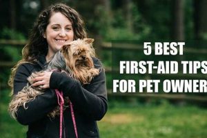 Tips For Pet Owners | My Caring Dog – Tips, Stories, and Care Guides for Loving Pet Owners