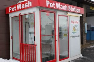 Best Car Wash & Dog Wash Near Me: Find Local Options My Caring Dog – Tips, Stories, and Care Guides for Loving Pet Owners Best Car Wash & Dog Wash Near Me: Find Local Options | My Caring Dog – Tips, Stories, and Care Guides for Loving Pet Owners