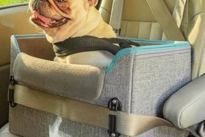 Best Dog Car Seat Attachments & Harnesses | My Caring Dog – Tips, Stories, and Care Guides for Loving Pet Owners