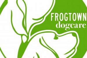 Ultimate Dog Care Guide for Car Owners | My Caring Dog – Tips, Stories, and Care Guides for Loving Pet Owners