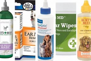 Top Tips for Best Dog Ear Care & Cleaning | My Caring Dog – Tips, Stories, and Care Guides for Loving Pet Owners