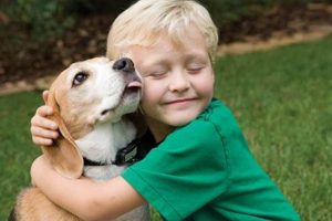 The Ultimate Guide to Hugging and Caring for Your Dog | My Caring Dog – Tips, Stories, and Care Guides for Loving Pet Owners