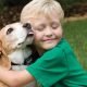 The Ultimate Guide to Hugging and Caring for Your Dog | My Caring Dog – Tips, Stories, and Care Guides for Loving Pet Owners