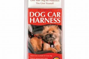 Top Hi Craft Dog Car Harnesses for Safe Travels My Caring Dog – Tips, Stories, and Care Guides for Loving Pet Owners Top Hi Craft Dog Car Harnesses for Safe Travels | My Caring Dog – Tips, Stories, and Care Guides for Loving Pet Owners