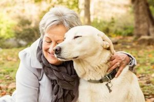 Adopt Senior-Friendly Dogs Near You Today! | My Caring Dog – Tips, Stories, and Care Guides for Loving Pet Owners