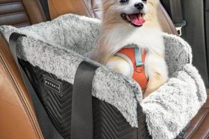 Best Dog Car Seats on Chewy: Safe & Secure | My Caring Dog – Tips, Stories, and Care Guides for Loving Pet Owners