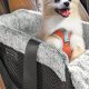 Best Dog Car Seats on Chewy: Safe & Secure | My Caring Dog – Tips, Stories, and Care Guides for Loving Pet Owners