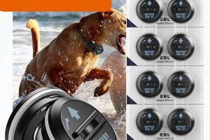 Dog Training Collar Battery Replacement Guide | My Caring Dog – Tips, Stories, and Care Guides for Loving Pet Owners