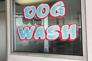 Best Top Dog Car Wash in Columbus, IN | My Caring Dog – Tips, Stories, and Care Guides for Loving Pet Owners