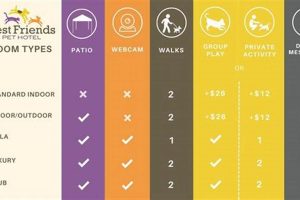 The Ultimate Guide to Disney Dog Care | My Caring Dog – Tips, Stories, and Care Guides for Loving Pet Owners