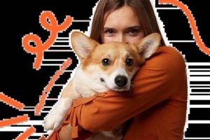 Dog Home Visits Near Me | My Caring Dog – Tips, Stories, and Care Guides for Loving Pet Owners