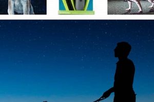 Dog Night Care | My Caring Dog – Tips, Stories, and Care Guides for Loving Pet Owners