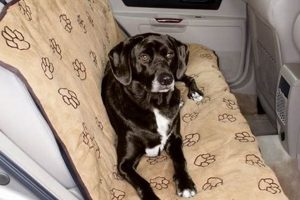 Best Brookstone Dog Car Seat Covers: Ultimate Guide My Caring Dog – Tips, Stories, and Care Guides for Loving Pet Owners Best Brookstone Dog Car Seat Covers: Ultimate Guide | My Caring Dog – Tips, Stories, and Care Guides for Loving Pet Owners