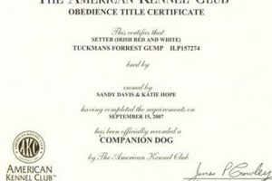 Car Dog Companion Certificates: A Guide My Caring Dog – Tips, Stories, and Care Guides for Loving Pet Owners Car Dog Companion Certificates: A Guide | My Caring Dog – Tips, Stories, and Care Guides for Loving Pet Owners