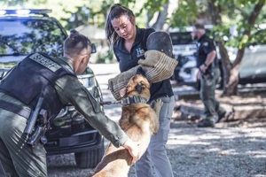 K9 Trainer Salaries: A Comprehensive Guide | My Caring Dog – Tips, Stories, and Care Guides for Loving Pet Owners