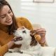 Best Dog Care &amp; Walks Near Me | Local &amp; Trusted | My Caring Dog – Tips, Stories, and Care Guides for Loving Pet Owners