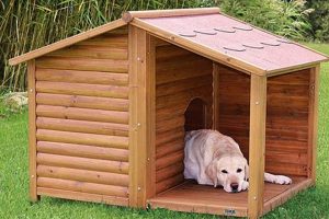 Best Dog's Home Setup for Car Travel Safety My Caring Dog – Tips, Stories, and Care Guides for Loving Pet Owners Best Dog's Home Setup for Car Travel Safety | My Caring Dog – Tips, Stories, and Care Guides for Loving Pet Owners