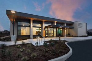 Caring for Your Community Animal: Car Dog Safety My Caring Dog – Tips, Stories, and Care Guides for Loving Pet Owners Caring for Your Community Animal: Car Dog Safety | My Caring Dog – Tips, Stories, and Care Guides for Loving Pet Owners