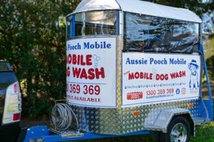 Best Mobile Dog Car Wash Services Near You My Caring Dog – Tips, Stories, and Care Guides for Loving Pet Owners Best Mobile Dog Car Wash Services Near You | My Caring Dog – Tips, Stories, and Care Guides for Loving Pet Owners
