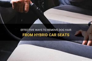 Easy Guide: Remove Dog Hair From Car Seats Fast | My Caring Dog – Tips, Stories, and Care Guides for Loving Pet Owners