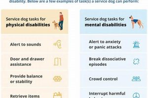 What Can A Service Dog Be Trained To Do | My Caring Dog – Tips, Stories, and Care Guides for Loving Pet Owners