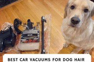 Top 5 Best Car Vacuums for Dog Hair in 2024 | My Caring Dog – Tips, Stories, and Care Guides for Loving Pet Owners