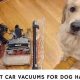 Top 5 Best Car Vacuums for Dog Hair in 2024 | My Caring Dog – Tips, Stories, and Care Guides for Loving Pet Owners