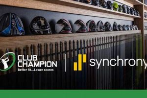 Club Champion Synchrony My Caring Dog – Tips, Stories, and Care Guides for Loving Pet Owners Club Champion Synchrony | My Caring Dog – Tips, Stories, and Care Guides for Loving Pet Owners