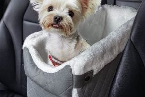 Chewy Car Seats For Small Dogs My Caring Dog – Tips, Stories, and Care Guides for Loving Pet Owners Chewy Car Seats For Small Dogs | My Caring Dog – Tips, Stories, and Care Guides for Loving Pet Owners