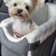 Chewy Car Seats For Small Dogs | My Caring Dog – Tips, Stories, and Care Guides for Loving Pet Owners