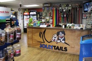 Car Dog: Find Dog Socials Near Me Today! My Caring Dog – Tips, Stories, and Care Guides for Loving Pet Owners Car Dog: Find Dog Socials Near Me Today! | My Caring Dog – Tips, Stories, and Care Guides for Loving Pet Owners