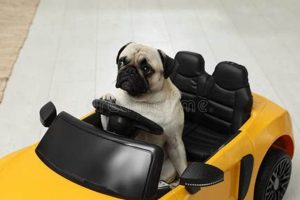 Best Dog Toy Cars: Durable & Fun | My Caring Dog – Tips, Stories, and Care Guides for Loving Pet Owners