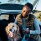 Driving with Dogs to Spain: Rules & Tips | My Caring Dog – Tips, Stories, and Care Guides for Loving Pet Owners