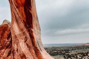 Best Moab Dog Day Care | Top Kennels & Pet Sitting My Caring Dog – Tips, Stories, and Care Guides for Loving Pet Owners Best Moab Dog Day Care | Top Kennels & Pet Sitting | My Caring Dog – Tips, Stories, and Care Guides for Loving Pet Owners