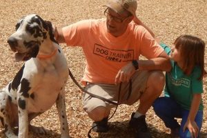 Best Canine Behavioral Services Inc.: Training & Support My Caring Dog – Tips, Stories, and Care Guides for Loving Pet Owners Best Canine Behavioral Services Inc.: Training & Support | My Caring Dog – Tips, Stories, and Care Guides for Loving Pet Owners