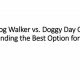 Best Doggy Day Care vs. Dog Walker Services | My Caring Dog – Tips, Stories, and Care Guides for Loving Pet Owners