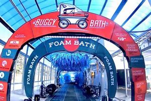 Easy Dog Wash at Car Wash Guide & Tips My Caring Dog – Tips, Stories, and Care Guides for Loving Pet Owners Easy Dog Wash at Car Wash Guide & Tips | My Caring Dog – Tips, Stories, and Care Guides for Loving Pet Owners