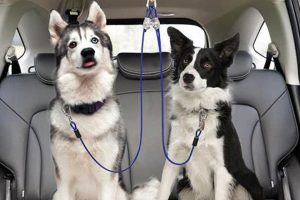 Best Dog Restraints for Cars: Safe Travel | My Caring Dog – Tips, Stories, and Care Guides for Loving Pet Owners