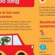 Don't Leave Dog Food in Hot Cars: Dangers & Tips | My Caring Dog – Tips, Stories, and Care Guides for Loving Pet Owners