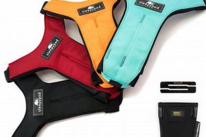 Top Sleepypod Clickit Sport Harness Review | My Caring Dog – Tips, Stories, and Care Guides for Loving Pet Owners